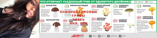 крисы Абдулино