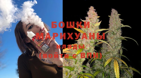 PSILOCYBIN Алзамай
