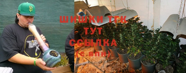 крисы Абдулино