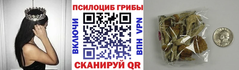блэк спрут рабочий сайт  Тула  Галлюциногенные грибы Cubensis 