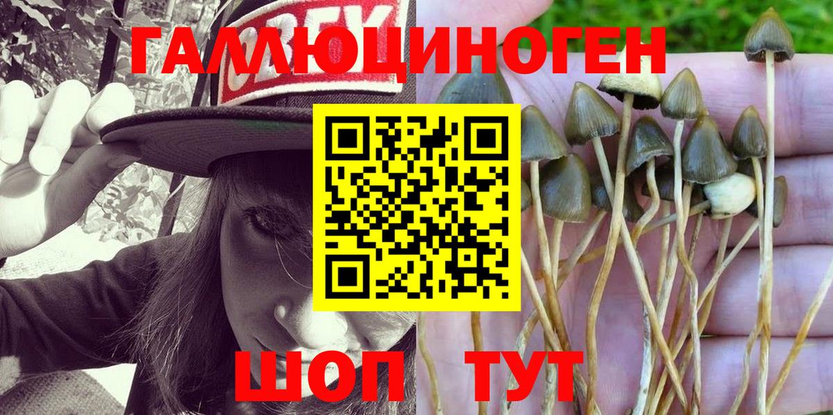 Галлюциногенные грибы мицелий Тула