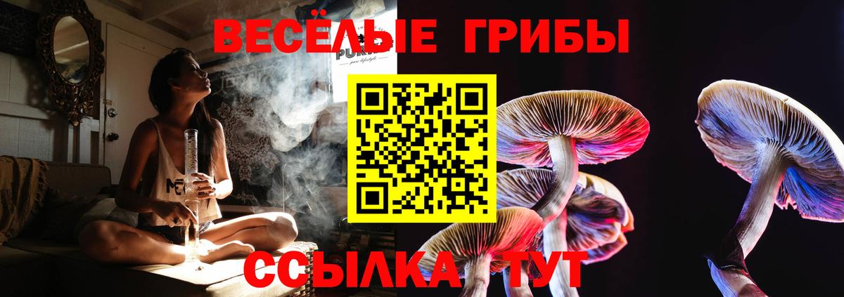 Псилоцибиновые грибы Magic Shrooms  Вход с VPN  Тула 